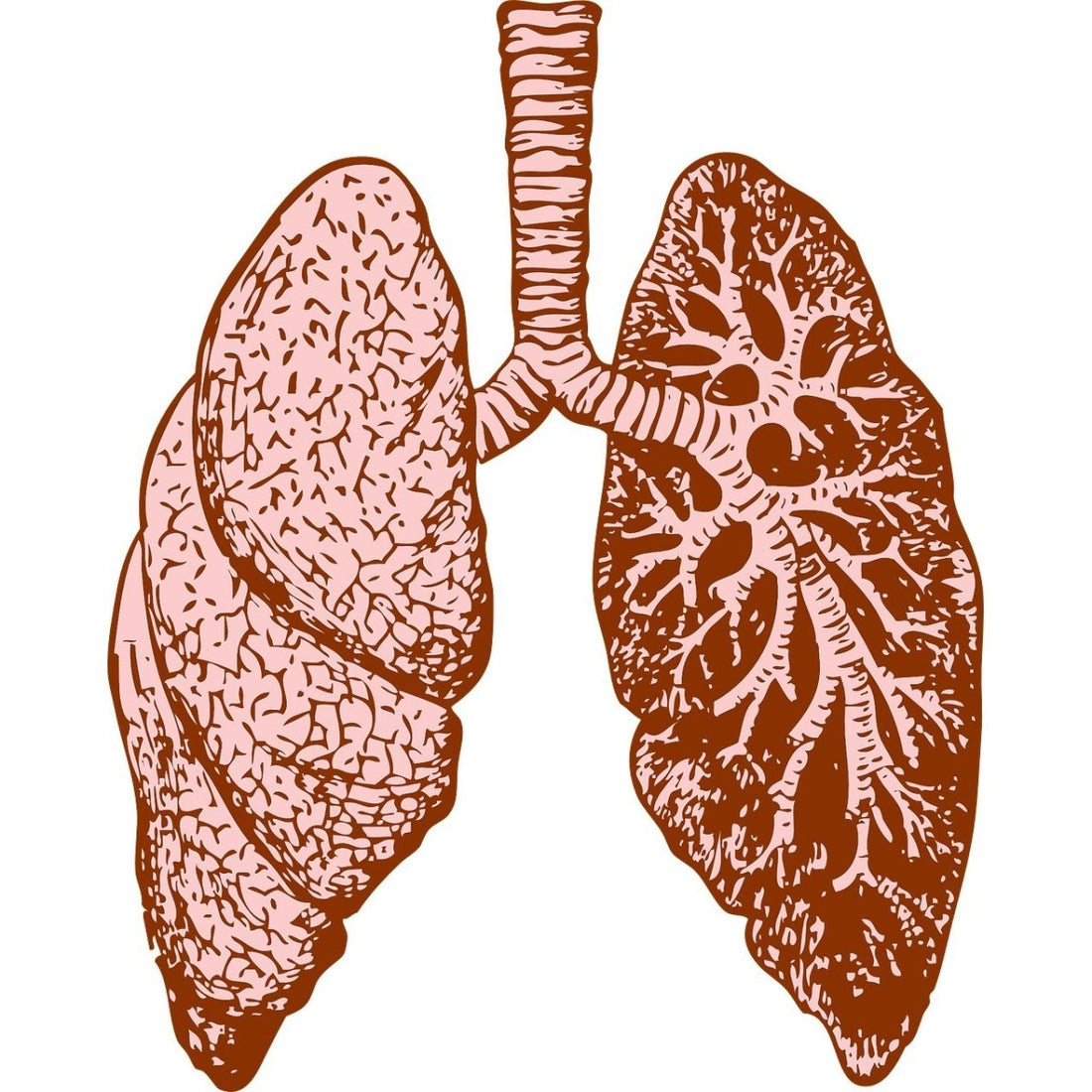An Overview of Respirator Types and Respiratory Protection Regulations - Part 2 - X1 Safety